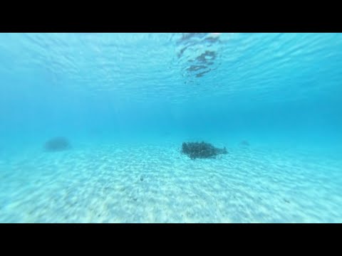 🇹🇻360°Tuvalu: Tepuka Island (snorkeling) 吐瓦魯 鐵布卡島 浮潛 Tepukahakai Dhaka