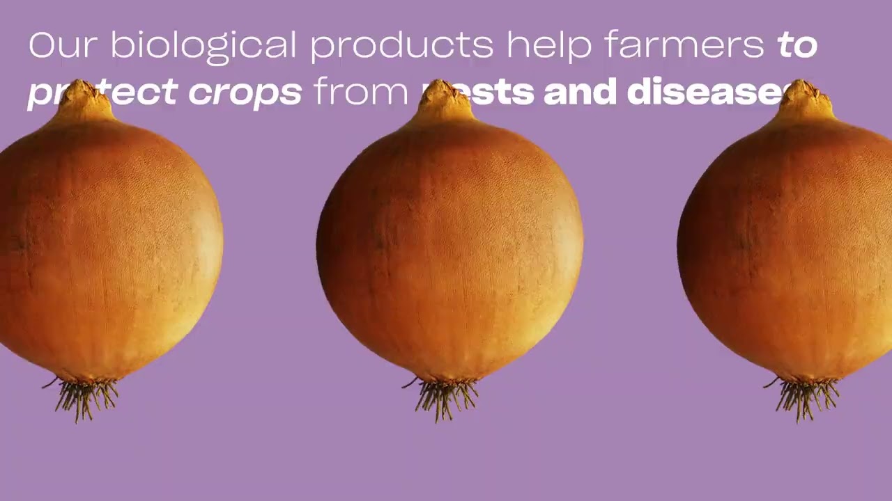 Video preview poster