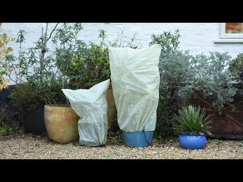 Overwintering plants