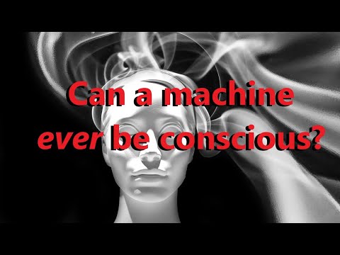 Could a machine ever be fully sentient or conscious? A deep dive on philosophy, quantum mechanics...