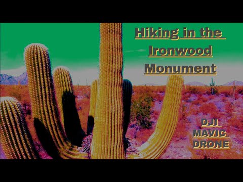 Hiking in an Arizona Desert Dry Wash