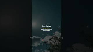 Download lagu Thola'al badru | story wa sholawat mp3 Download lagu Thola'al badru | story wa sholawat mp3