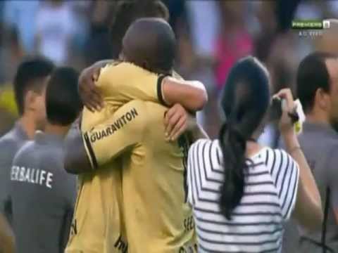 BOTAFOGO - CAMPEÃO TAÇA GUANABARA 2013!!!!!!!!!