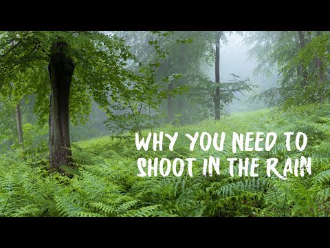 Why You NEED To Shoot In The Rain: LANDSCAPE PHOTOGRAPHY