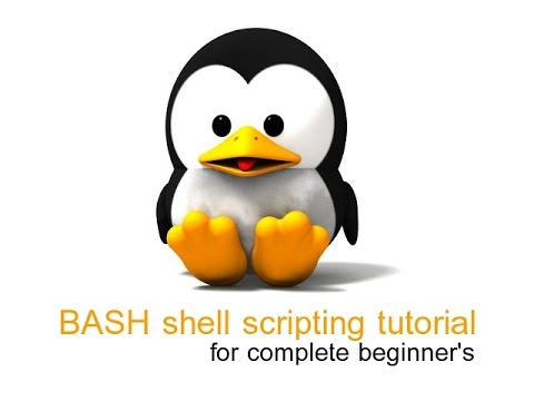 Linux bash scripting tutorial for beginners