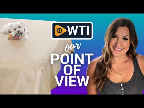 Paw Inspired Washable - WTI product video review