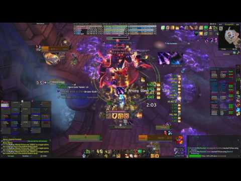 R E D E M P T I O N Heroic Nighthold Trilliax Kill Protection Paladin PoV