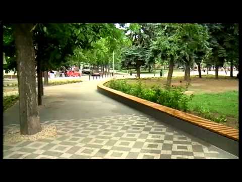 Halas Tv - Híradó - 2015.06.23. (kedd) - Kiskunhalas