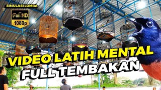 Download lagu 😱😱 Simulasi Lomba Murai Batu FULL TEMBAKAN!! PUTAR SEBELUM BERLOMBA mp3