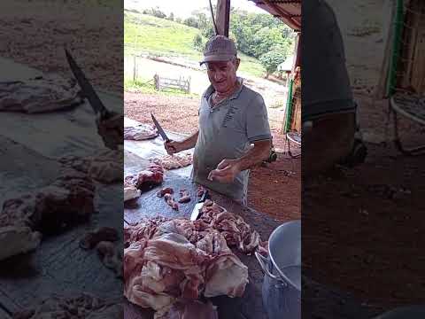 4 de novembro de 2025