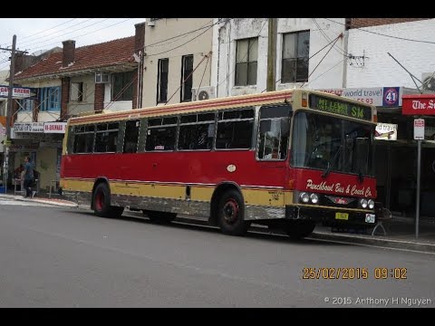 Punchbowl Bus Company [Riverwood] Hino RG197K / Custom Coaches, m/o 9028