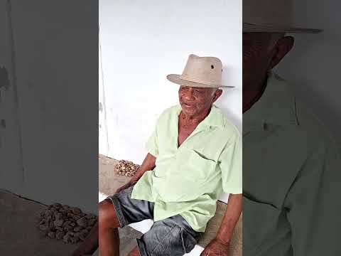 🏡 NO INVERNO, VISITAMOS O CASARÃO DA FAZENDA AROEIRA 🌧️🌿