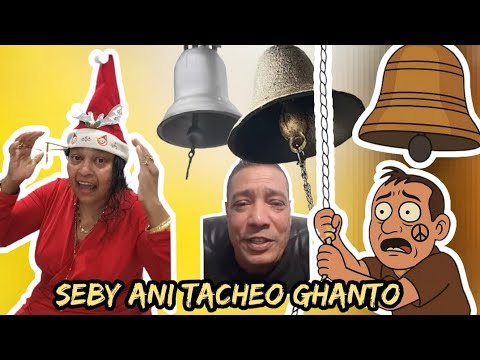 Vilma - Seby Ani Tacheo Sogleo Ghanto
