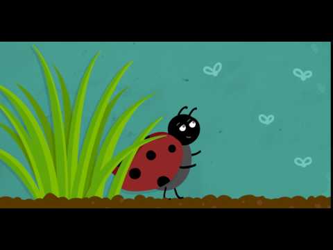 How can Beneficial Insects help Protect Crops?