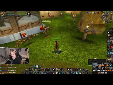 The NEW Druid Cheetah Travel Form Patch 9.2