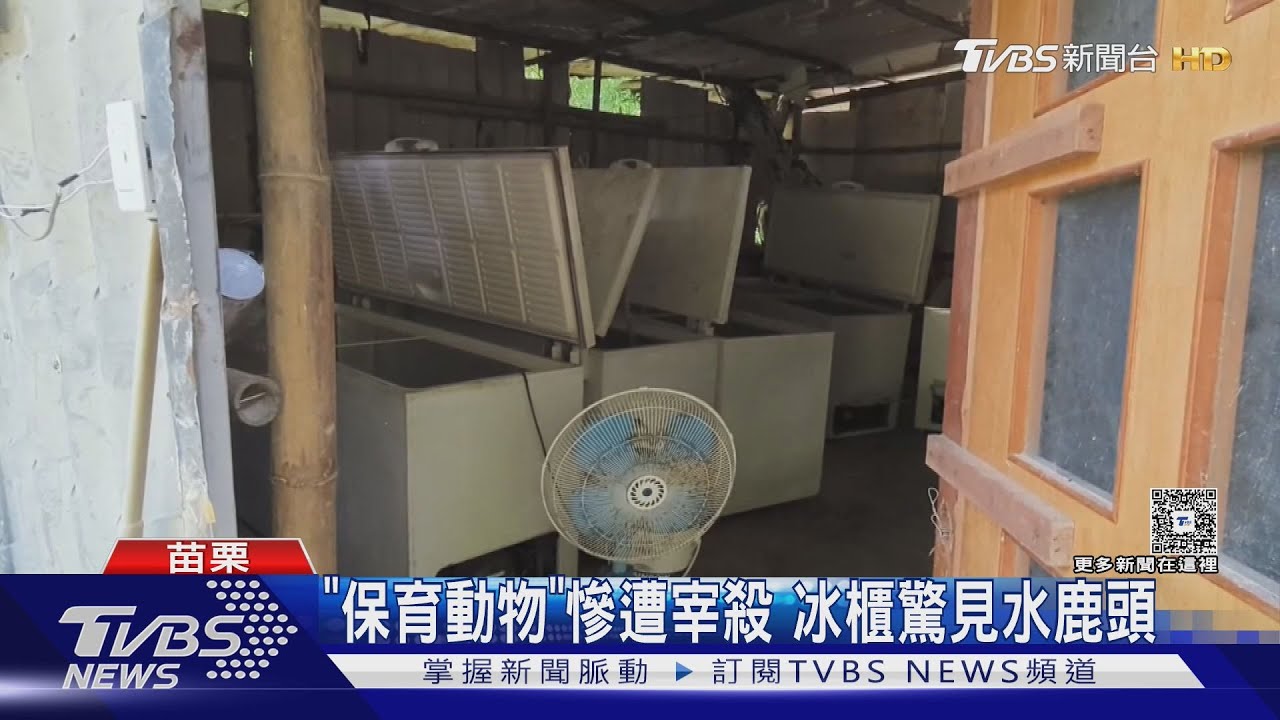 揭發全台最大越南狗肉集團!冷凍櫃塞滿800公斤肉品 年賺2千萬