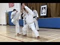 Nemoto Sensei Application Of Chinte Kata