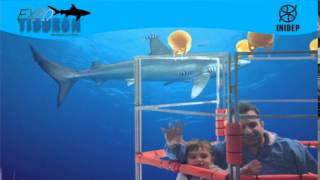 DIA 3 Expo Tiburon165