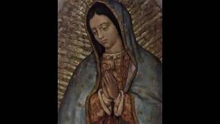 Nuestra Senora de Guadalupe