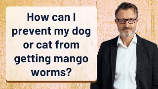 How can I prevent my dog or cat from getting mango worms?