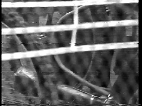 1991 ROW Rybnik vs Wybrzeże Gdańsk Bieg 7