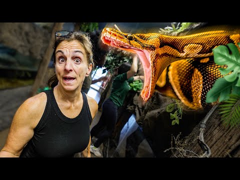 My 19 Foot Python Escaped!!