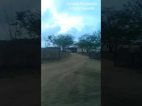 Coisas do Nordeste  #nordeste #nordestino #sertão #meunordeste #paraiba #seridó