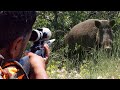Top DANGEROUS BOAR Hunts FEARLESS Dogs Extreme Close Up Rifle Shots Hunting Wildlife
