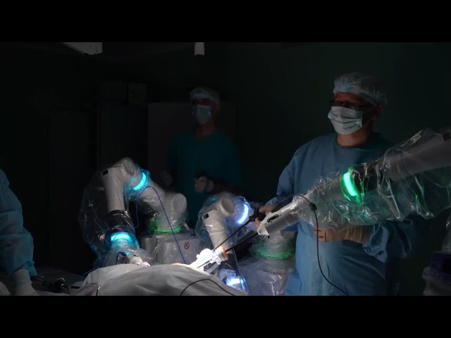 Первые в России