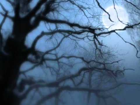 GONZALO CASTAÑEDA Y VIRGINIA MOS - La Fuerza Del Destino (Cancion propia)