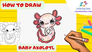 How to Draw Baby Axolotl