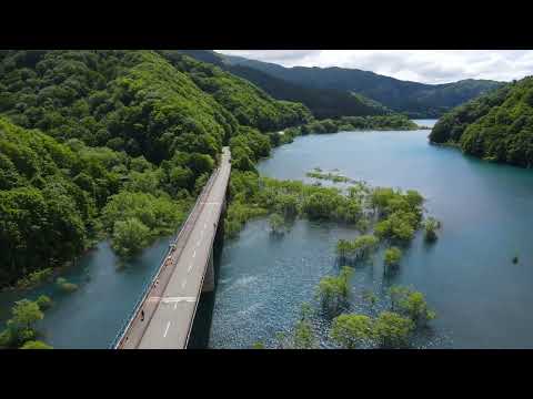 瑠璃色の湖面に浮かぶ初夏の神秘的風景「秋扇湖（鎧畑ダム）の水没林」
