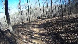 Coldwater Mountain: Momma Bear Downhill