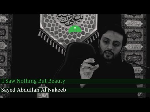 I Saw Nothing But Beauty | Sayed Abdullah Al Nakeeb
