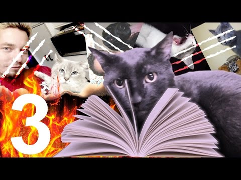 O Diário de Sylvester 3 - Talking Kitty Cat