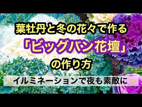 冬の花屋外クリビア
