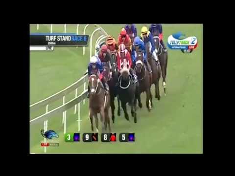 2015.04.04 Colorado King Stakes (RSA) - Wylie Hall