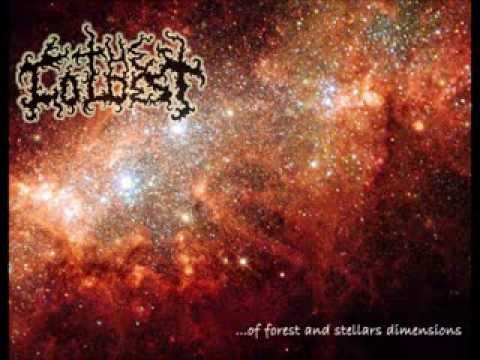 The Coldest - ...Of Forest And Stellars Dimensions (2009)