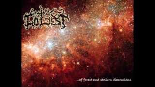 The Coldest - ...Of Forest And Stellars Dimensions (2009)