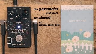 Video thumbnail for Neunaber - Seraphim by Knobs