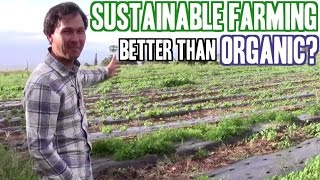 How Sustainable Farming Can Be Better than Organic Agriculture