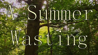 A Summer Wasting - Belle and Sebastian