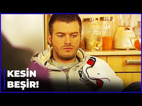 Behlül, Kendilerini Beşir'in İfşaladığını Düşünüyor - Aşk-ı Memnu 61. Bölüm