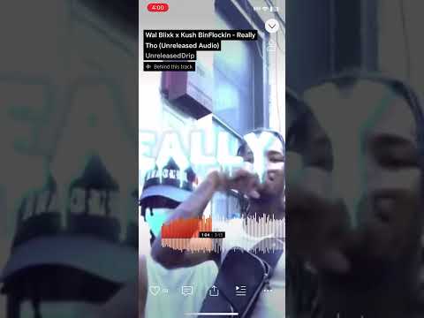 Wal Blixk x Kush BinFlockin - Really Tho (FULL UNRELEASED)
