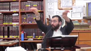 הרב מיכאל רביע | פרשת וישלח | תשע"ח