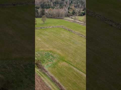 Parcelas a 10 minutos de Los Muermos. acceso a Rio. #parcelas #terrenos #naturaleza #rios #loslagos