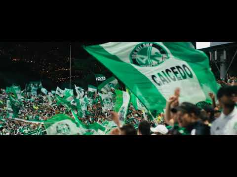 "FIESTA EN LA TRIBUNA | AtleÌtico Nacional vs Deportes Tolima | Claurusa 2019." Barra: Los del Sur • Club: Atlético Nacional