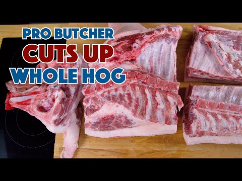PRO BUTCHER Cuts Up A Pig Nose To Tail Into Primal Cuts