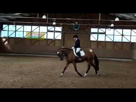 Nachtfürstin v. Interconti      www.elmarshausen.de