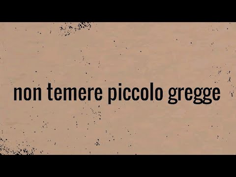 NON TEMERE PICCOLO GREGGE (Riflessione di Daniele M.)